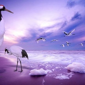 SriRam