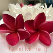 Naresh