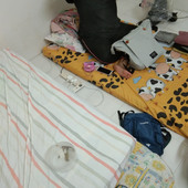 tanhongshen