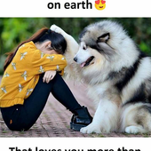 Raki