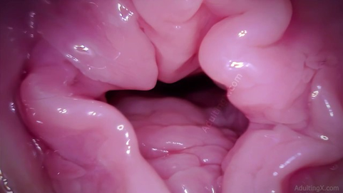 Watch Muff Coaster's Labia get a camera in POV - A hymen fetish video!